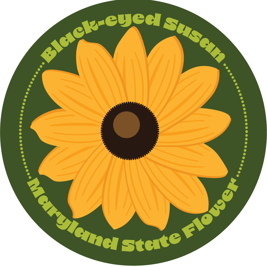 Stickers - Black Eyed Susan